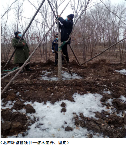 尊龙凯时-人生就是搏中国官方网站