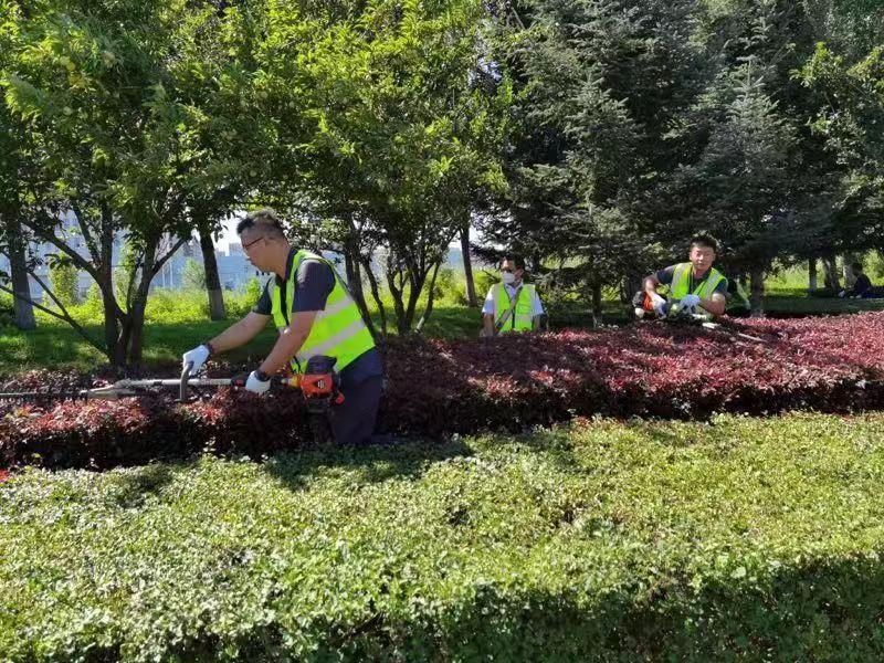 尊龙凯时-人生就是搏中国官方网站